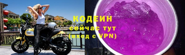 эйфоретик Галич